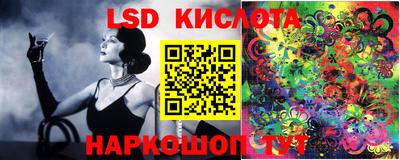 гидропоника Будённовск