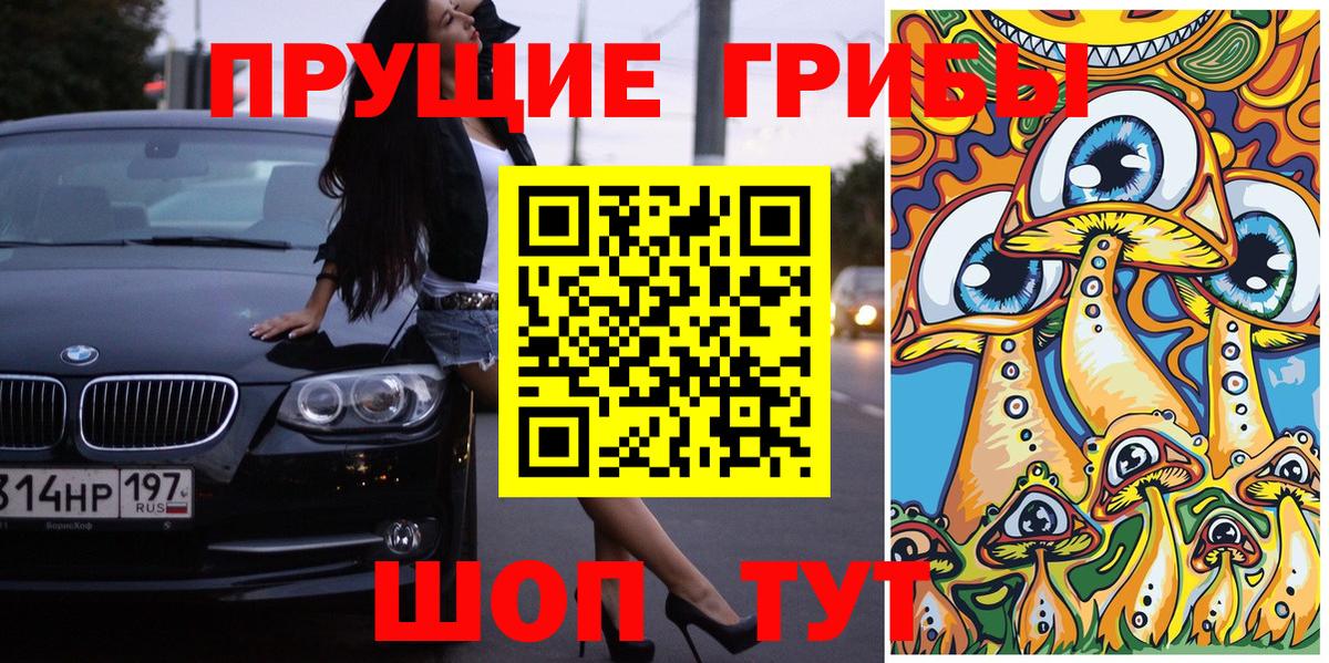 Псилоцибиновые грибы GOLDEN TEACHER  Вход с VPN  Пенза 